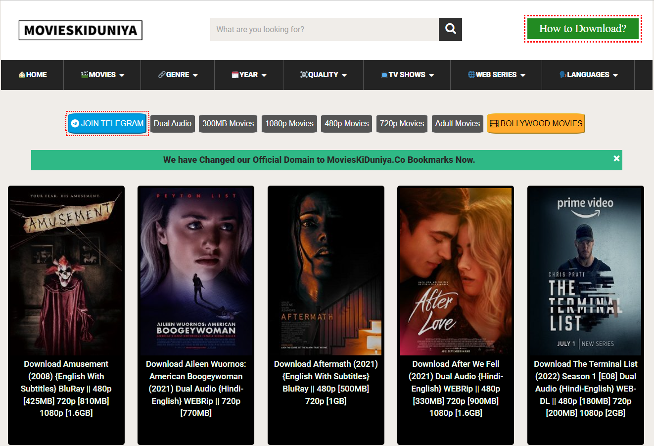 MoviesKiDuniya Website