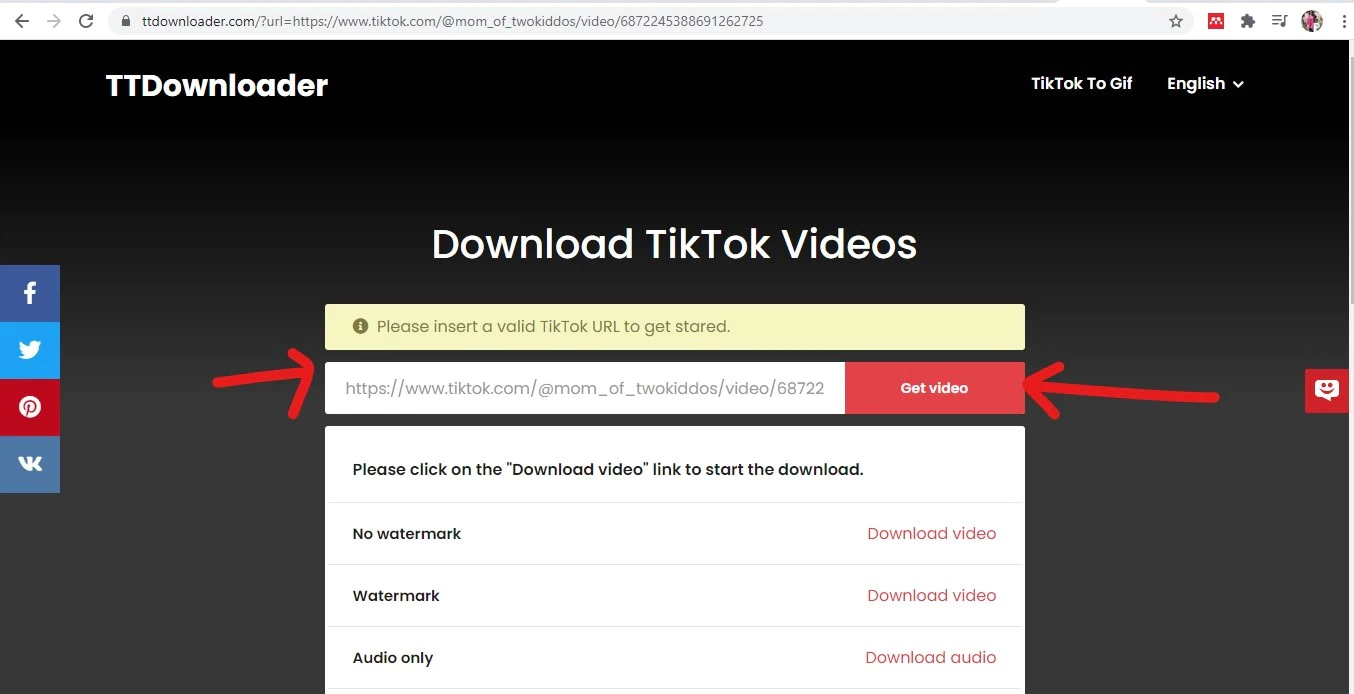 Save TikTok