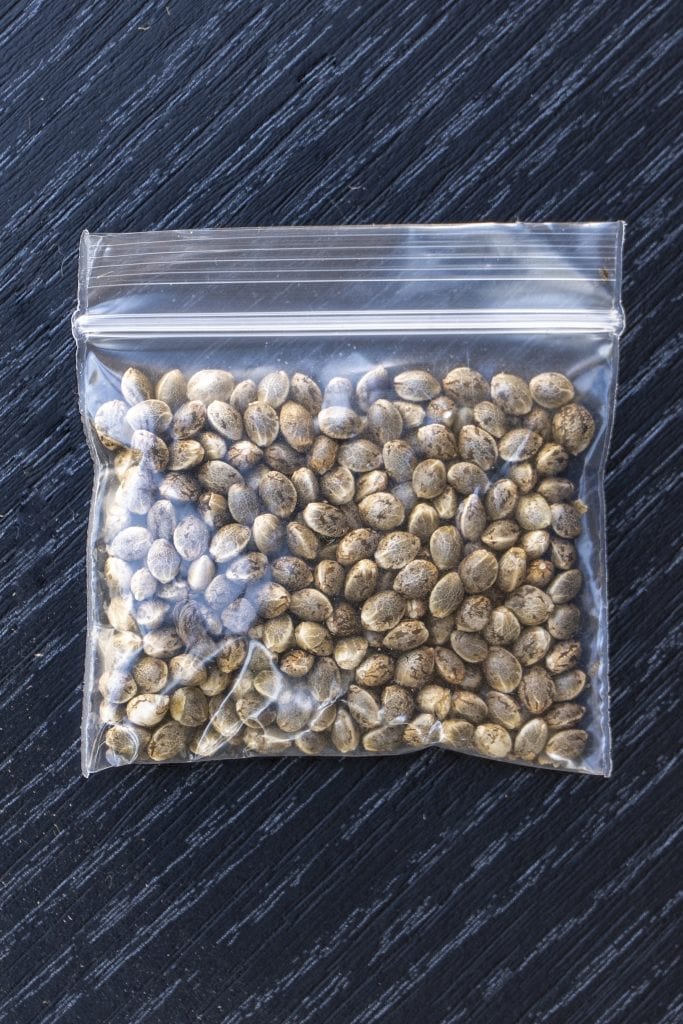 How To Store Cannabis Seeds