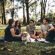 Top Picnic Ideas for Your Fun Family Picnic