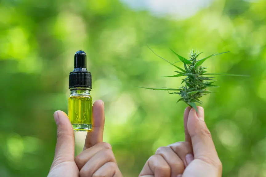Top Things You Should Know Before Buying Cbd Tincture