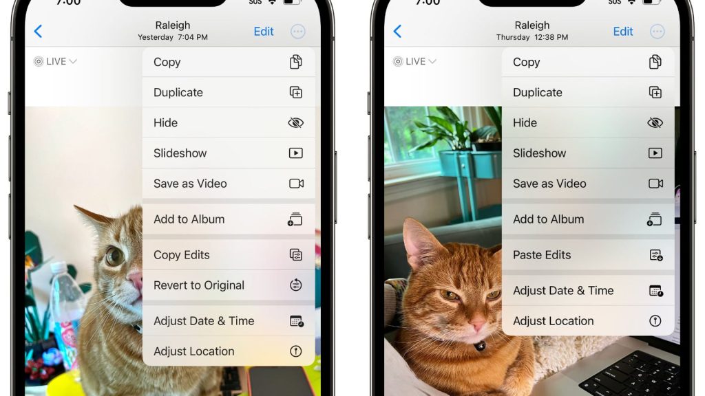 how to copy and paste pictures on iphone